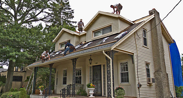 Best Roof Gutter Cleaning  in Macon, MO